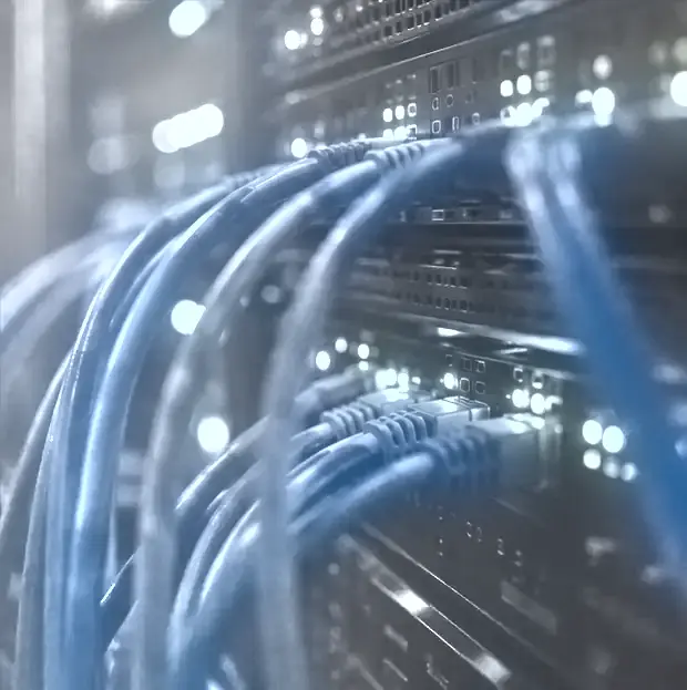 Network cables and status lights in a server rack